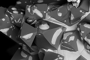 临高临高蔡司显微镜